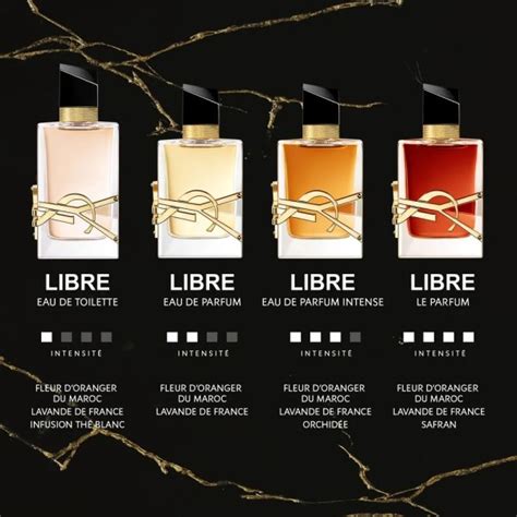 ysl anais
